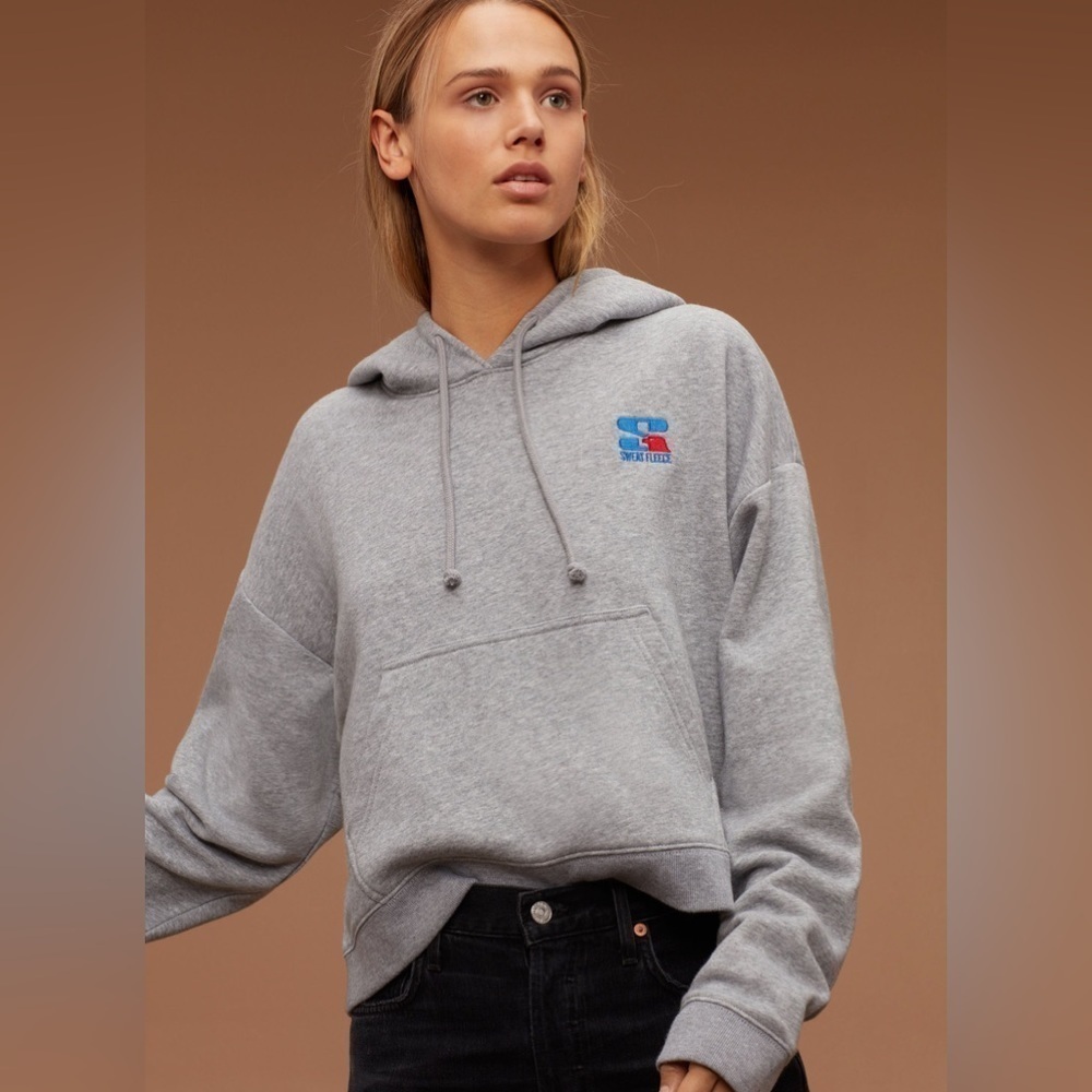 Aritzia TNA Grey Embroidered Cropped Hoodie Sweatshirt